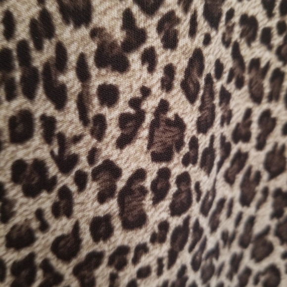 Talbots leopard midi dress - Picture 5 of 5